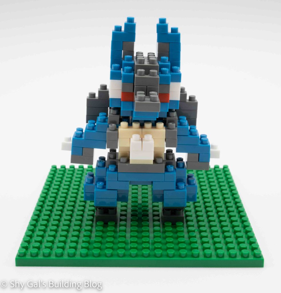 Lucario front view
