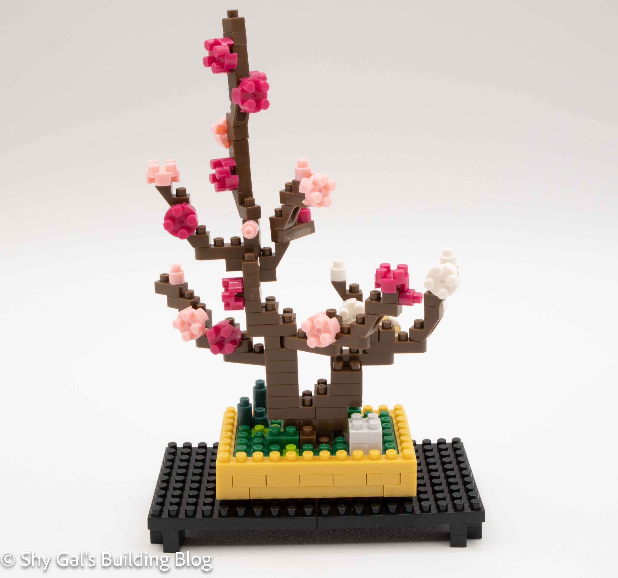 Review of nanoblock Plum Bonsai NBH_134 - Shy Gal's Building Blog