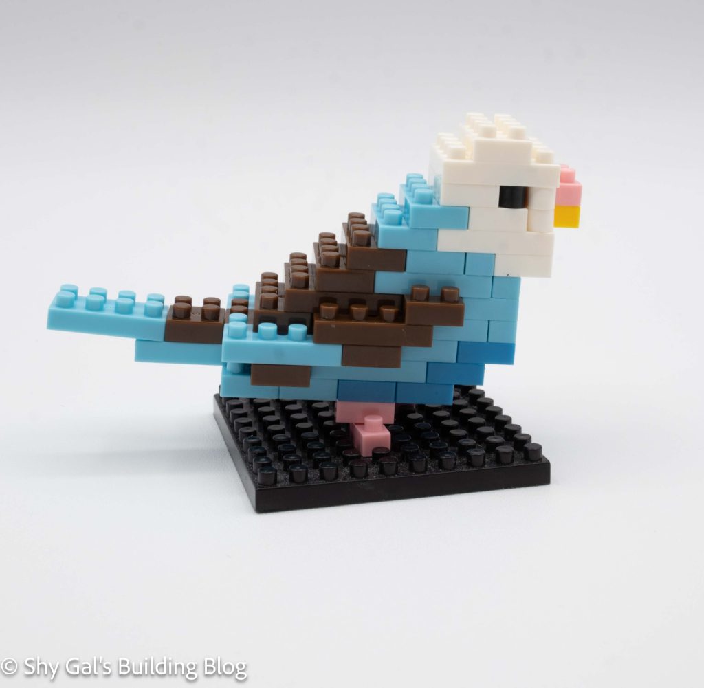 Blue Parakeet build side view