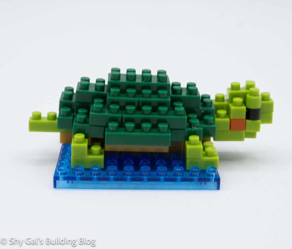 Red-Eared Slider build side view