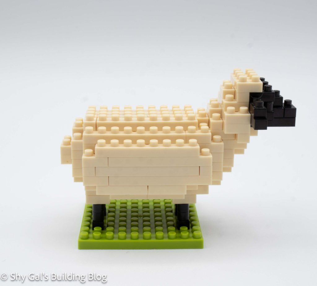 Sheep build side view