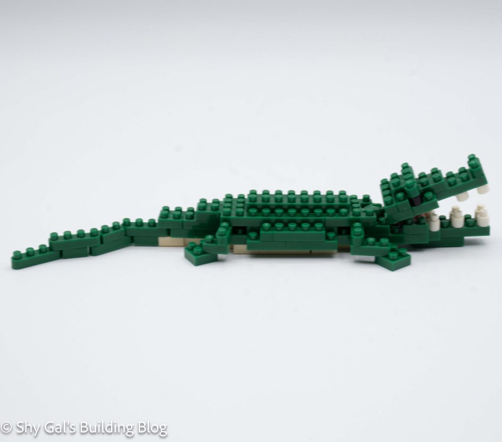 Nile Crocodile build side view