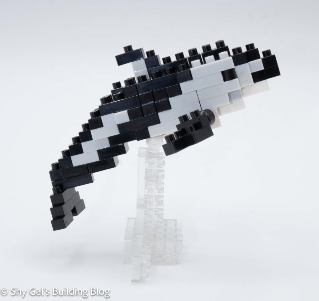Pacific White-Sided Dolphin build side view
