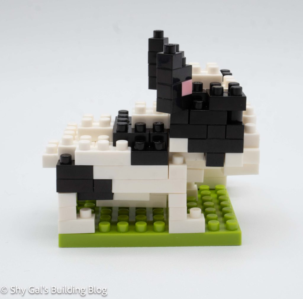 French Bulldog build side view