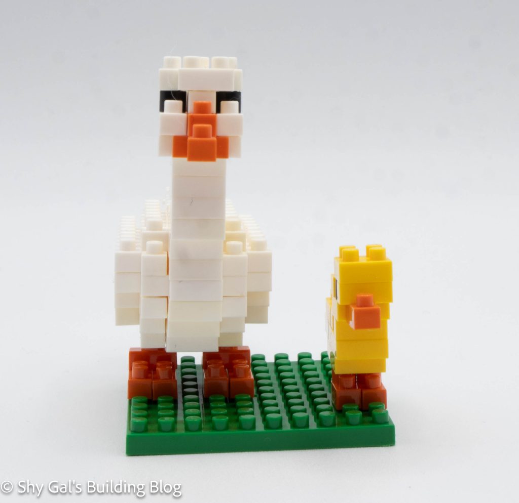 Duck build front view