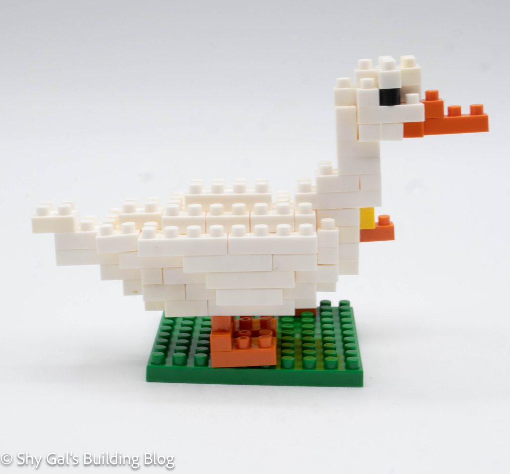 Duck build side view