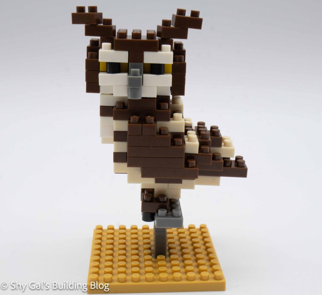 Eurasian Eagle Owl build front view