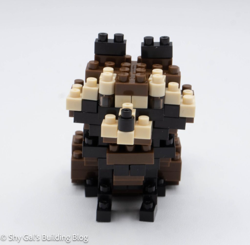 Raccoon Dog build front view