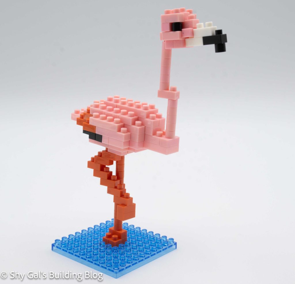 Greater Flamingo build front 3/4 view