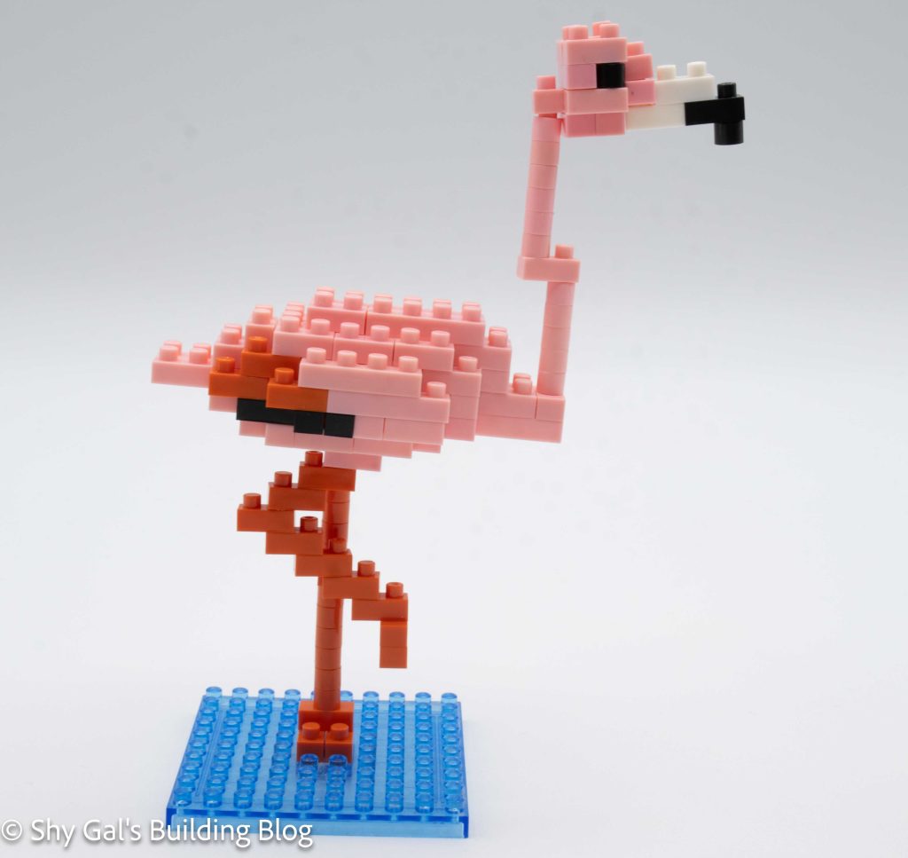 Greater Flamingo build side view