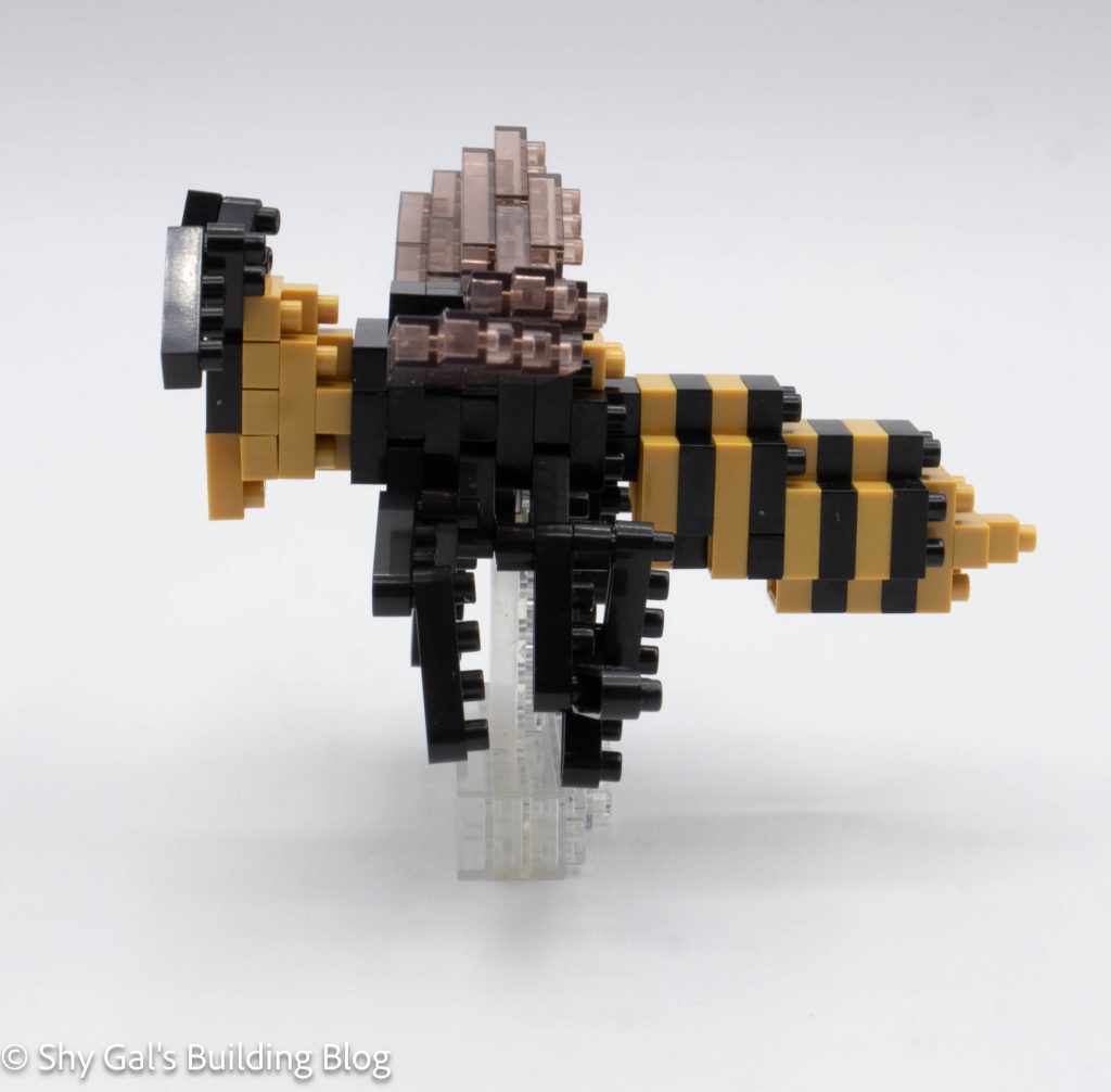 Asian Giant Hornet build side view