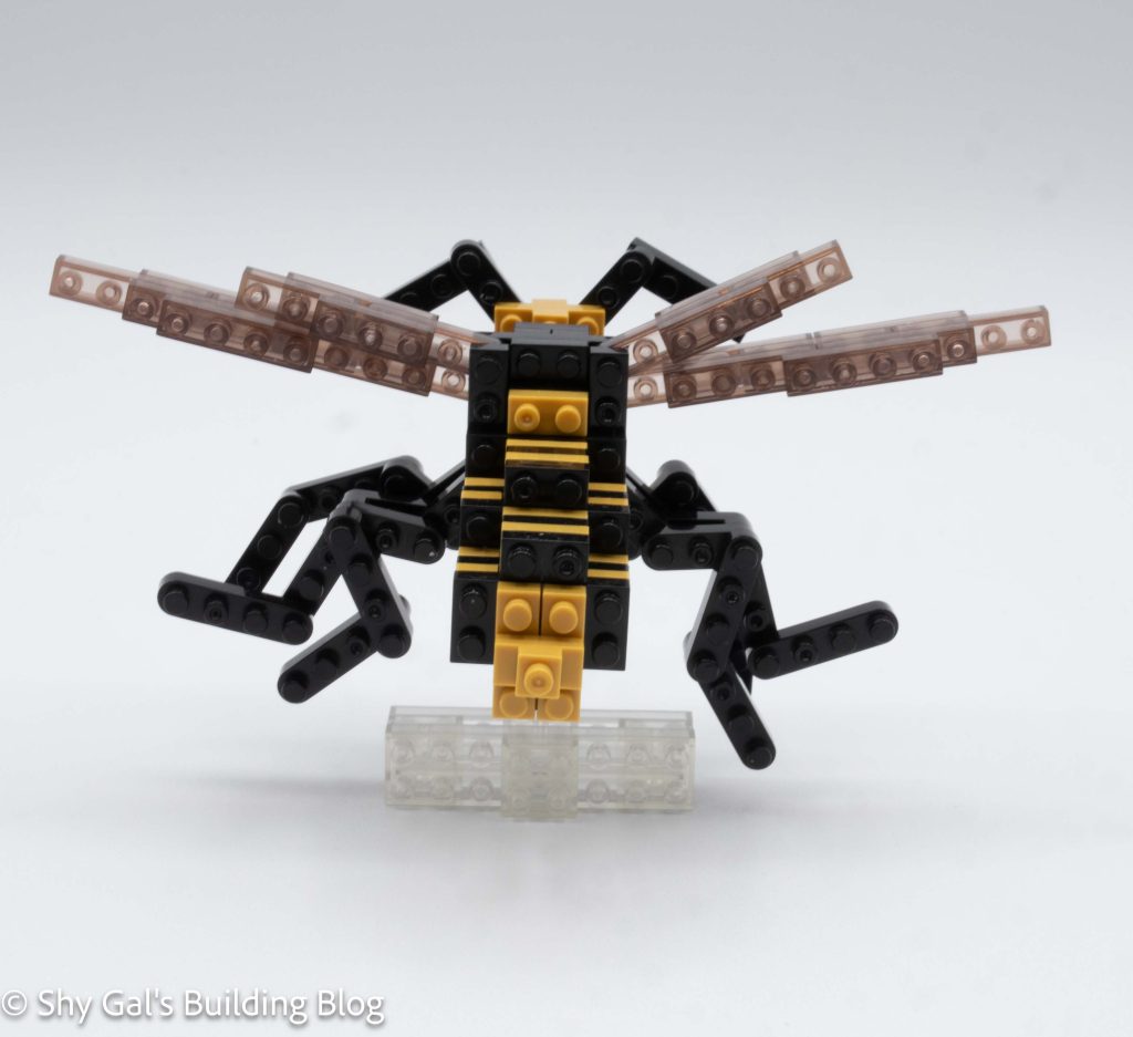 Asian Giant Hornet build back view